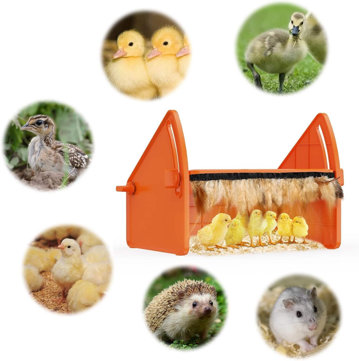 Heating Brooder Plate for Chicks Ducklings, Adjustable 3 Levels Temperature B...