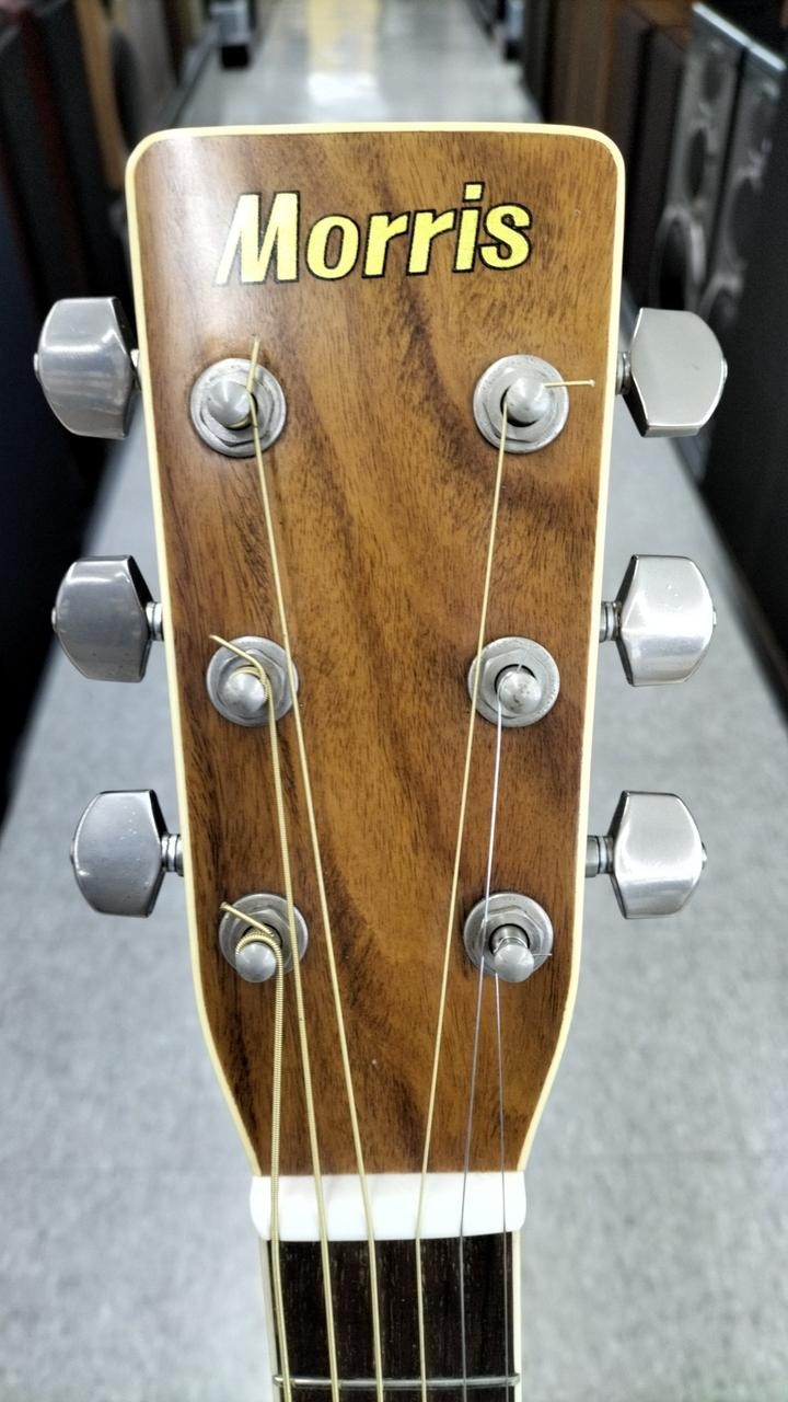 MORRIS MD-510 Acoustic