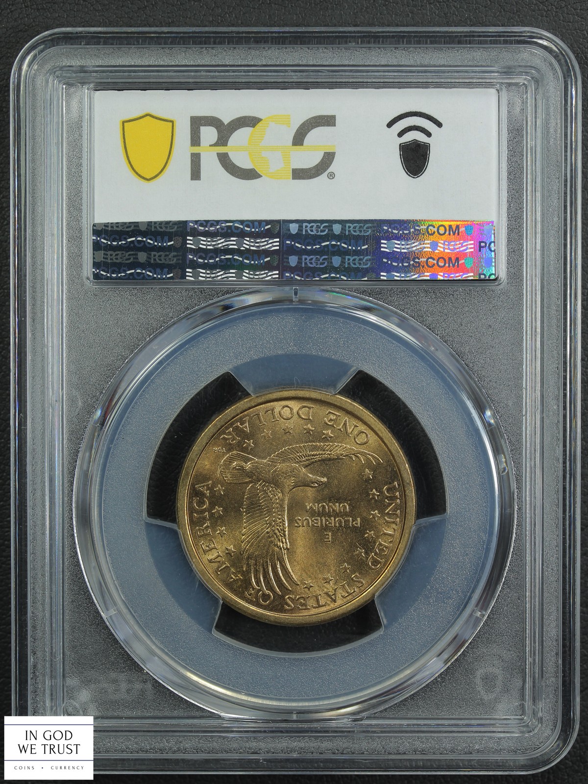 2000 P WOUNDED EAGLE Sacagawea Dollar $1 PCGS MS 63