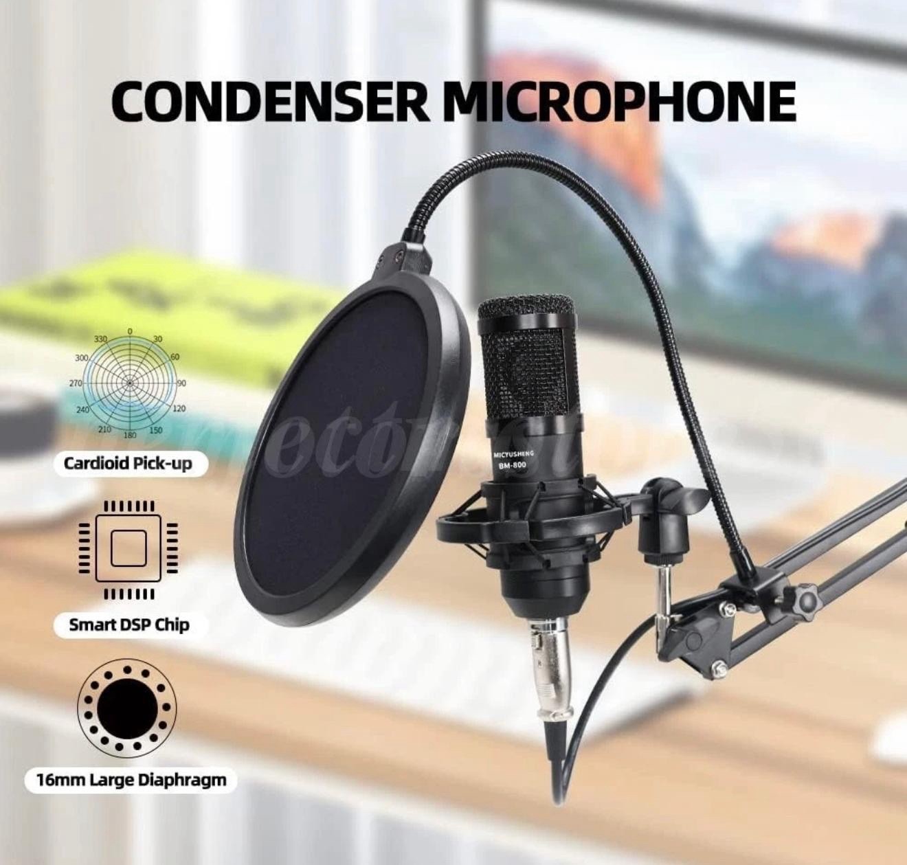 MICYUSING BM-800 Audio Interface & Condenser Microphone Set, Cardioid, DSP Chip