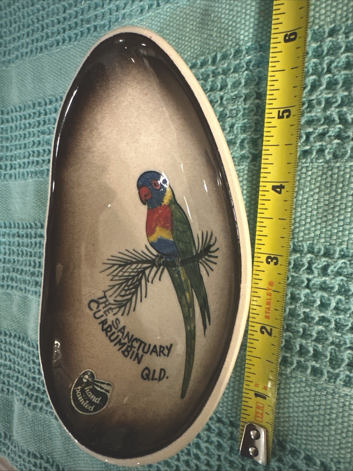 Parakeet Lorikeet Handpainted Ceramic Trinket Dish Little Pottery Australia