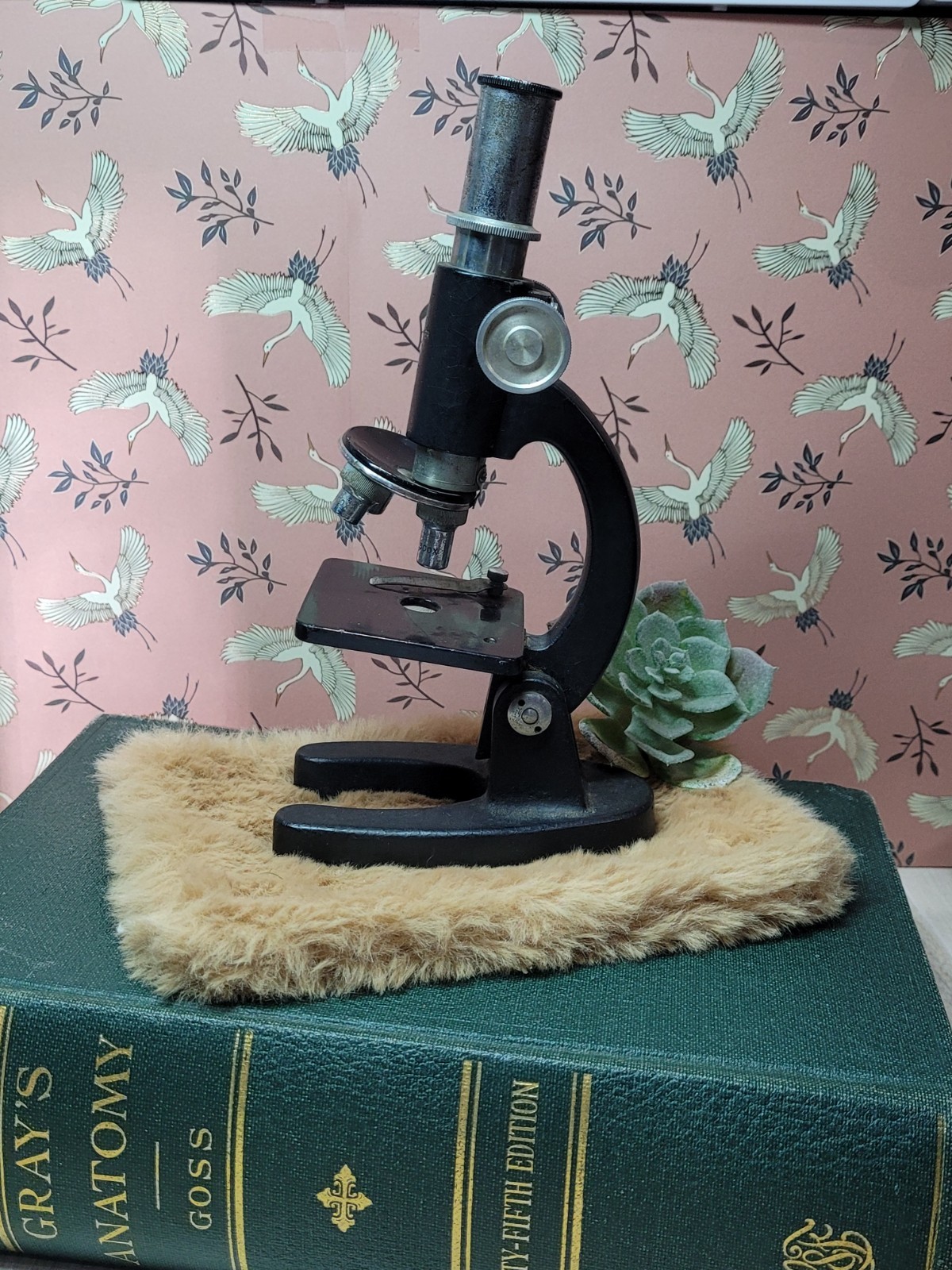 Vintage Sears Student Microscope 100x 200x 300x Magnification Untested No Slides