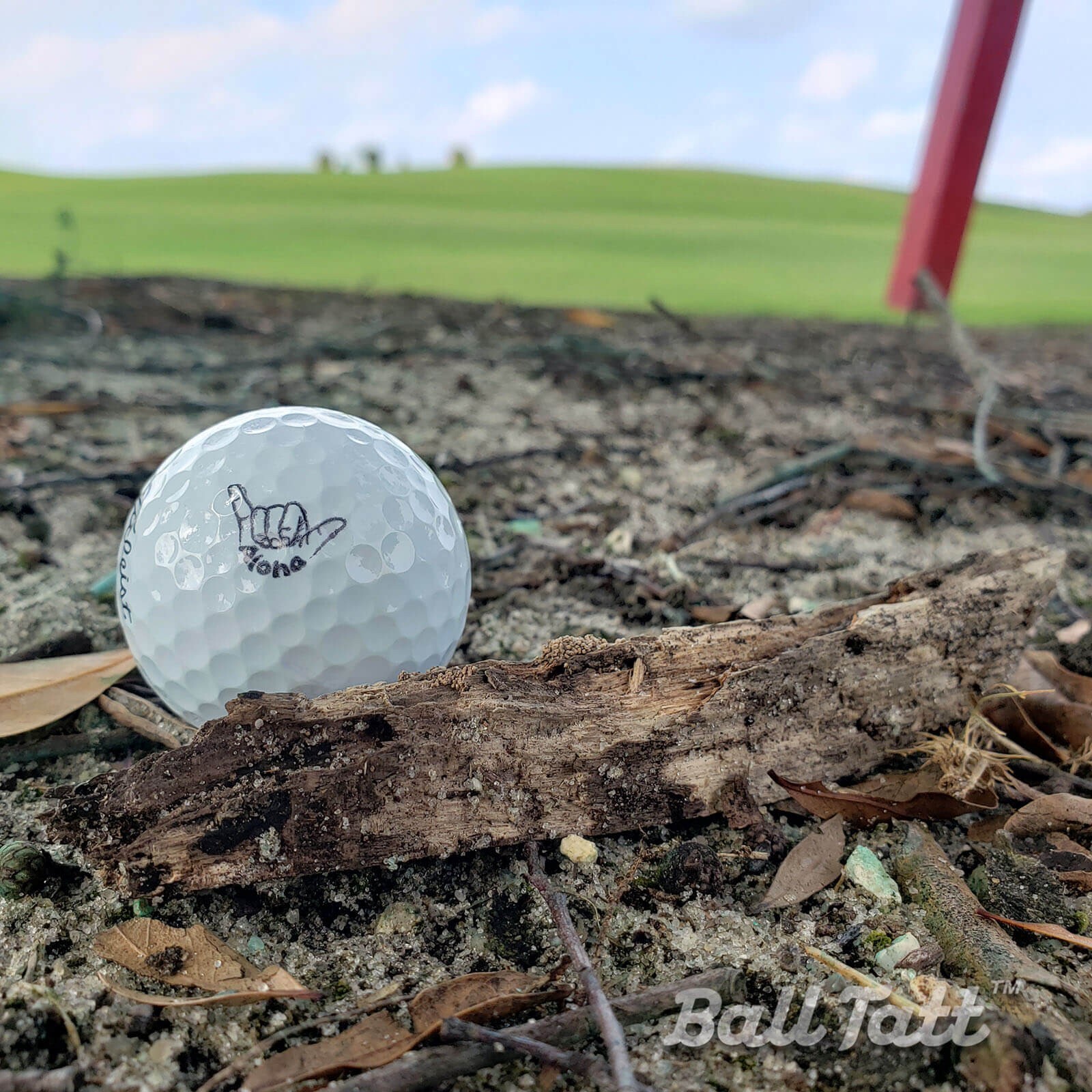 Ball Tatt - Aloha Golf Ball Stamp Marker Quick-Dry Self-Inking Ball Stamper