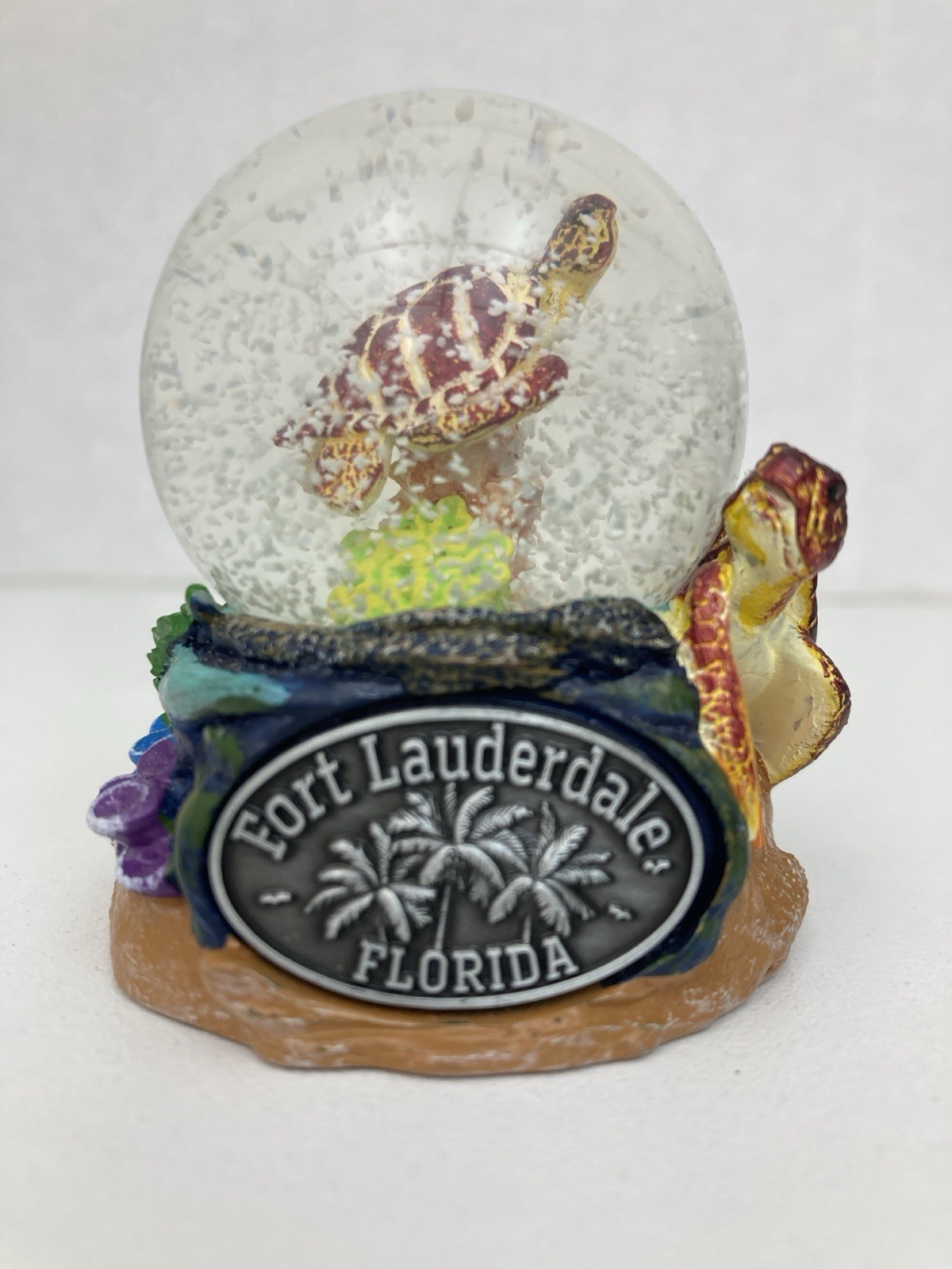 Ft Lauderdale Florida Sea Turtle Snow Globe