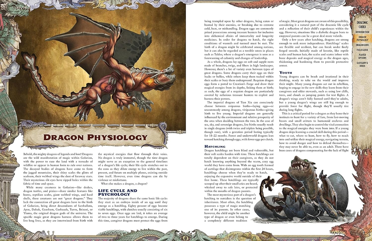 Pathfinder Lost Omens Draconic Codex - 224-Page Dragon Guide for Tabletop RPG Ga