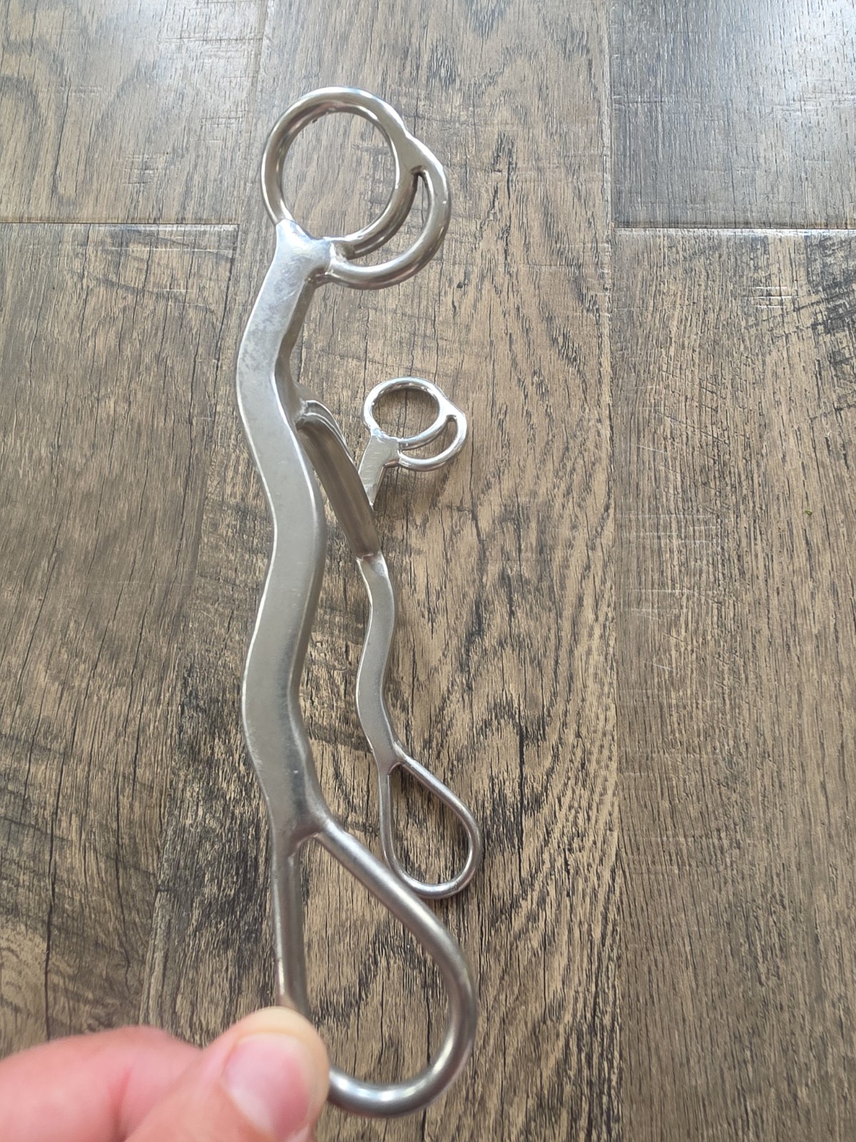 Horse Bit 5"