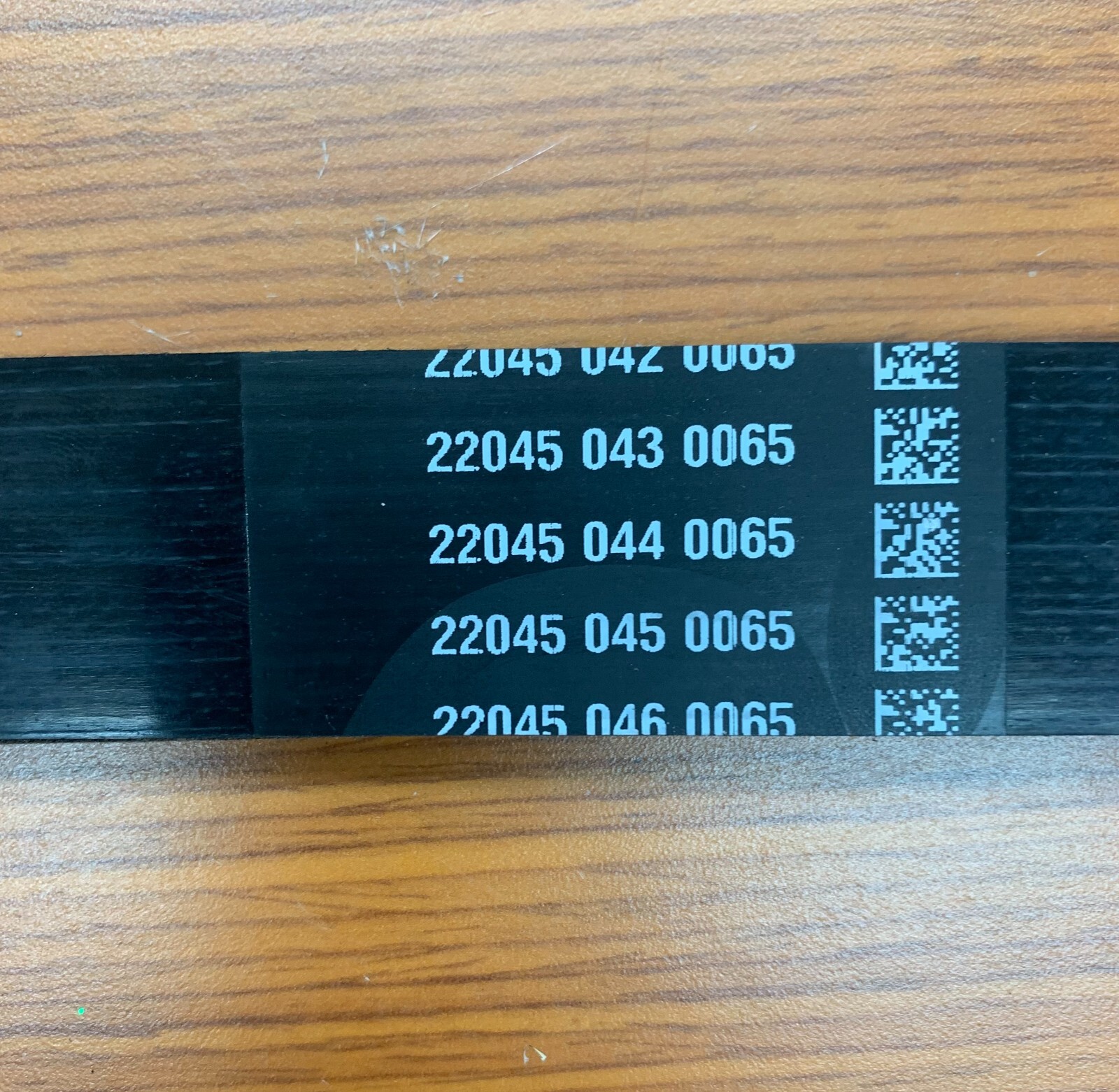PAI 21556637 SERPENTINE BELT 21-2776