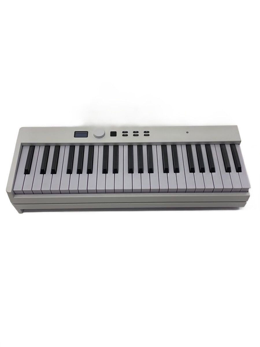 CARINA Electronic Piano Keyboard Used