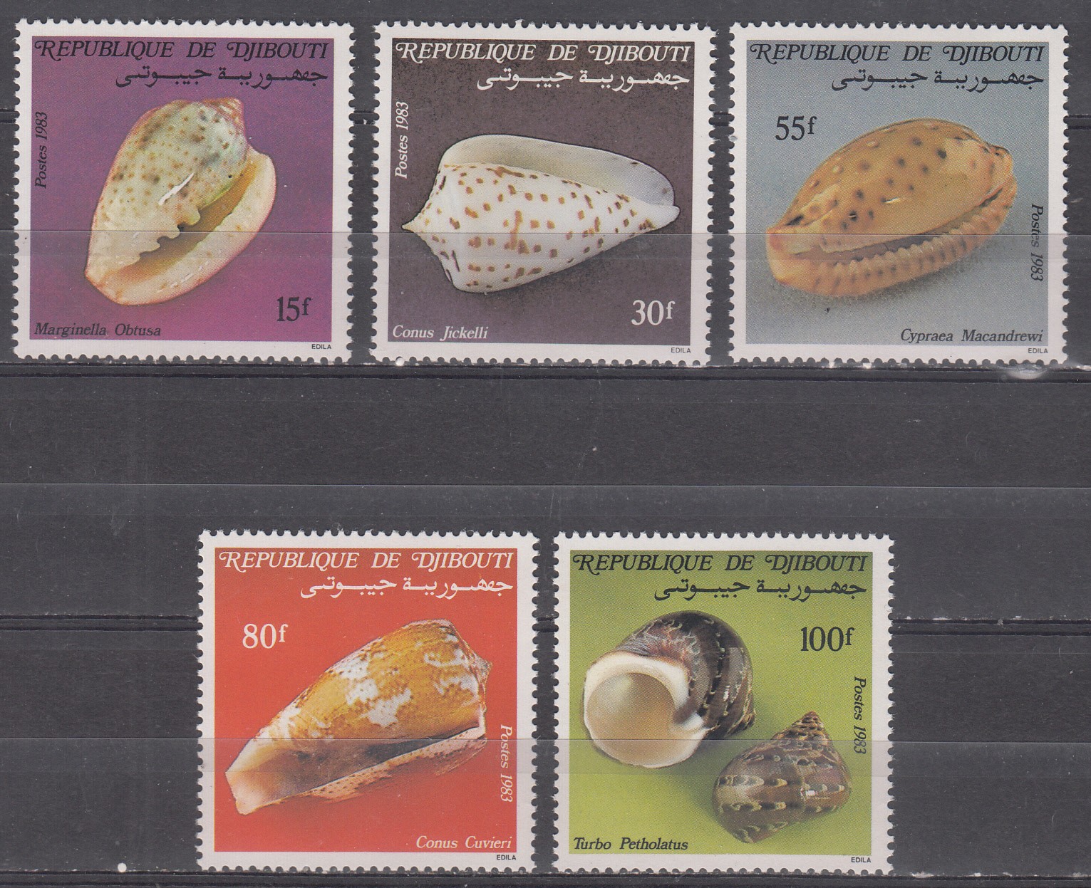 W DJIBOUTI 0563-567 SEA SHELLS