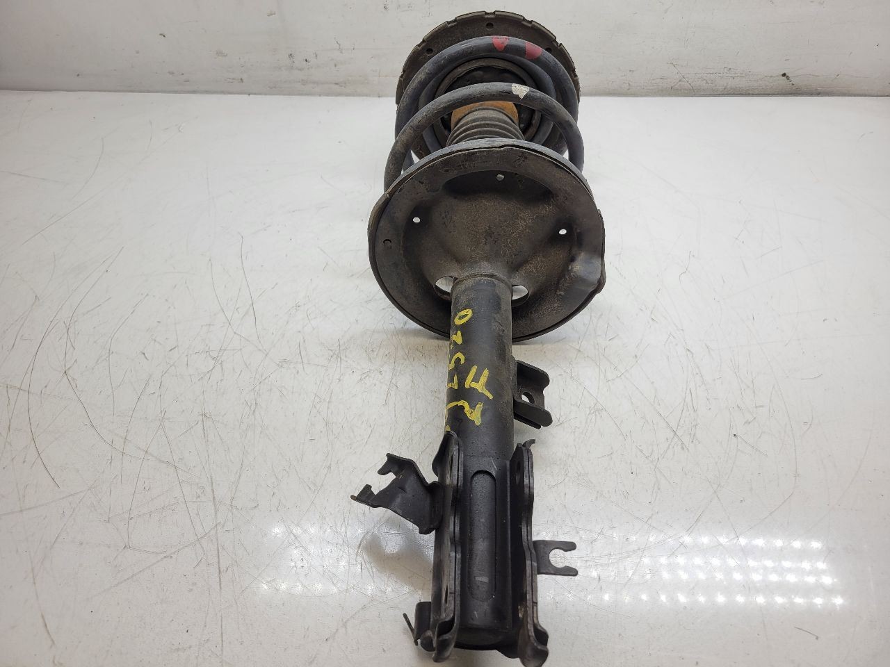 2005 2006 2007 Nissan Murano Left Driver Front Strut Shock Absorber 54303-CB025