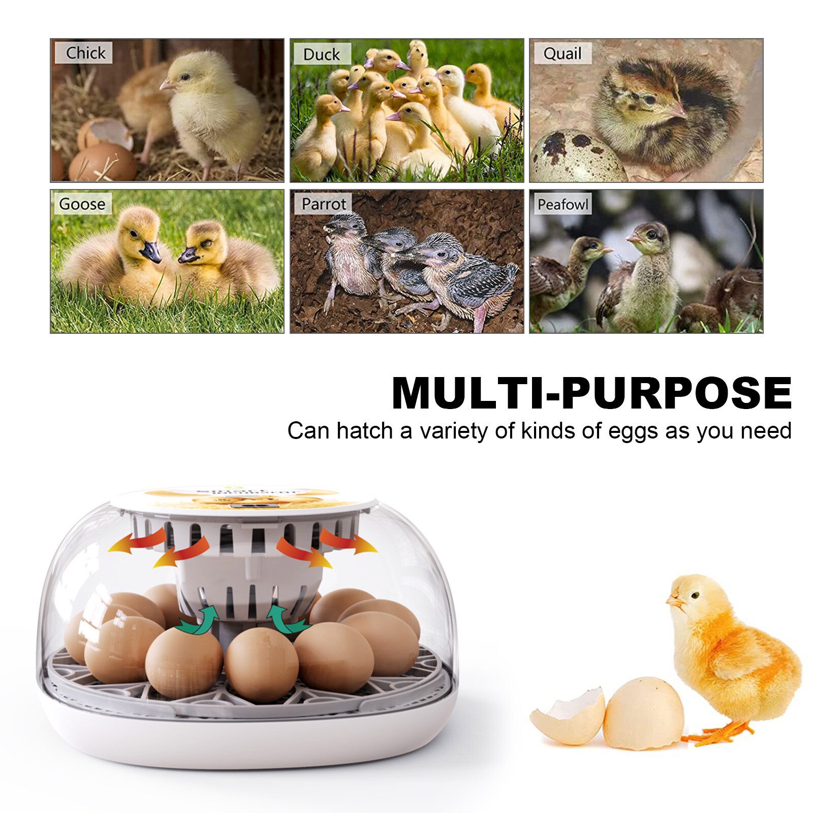 12/16 Egg Incubator Fully Automatic Brooder Flat Incubator with LED Lighting