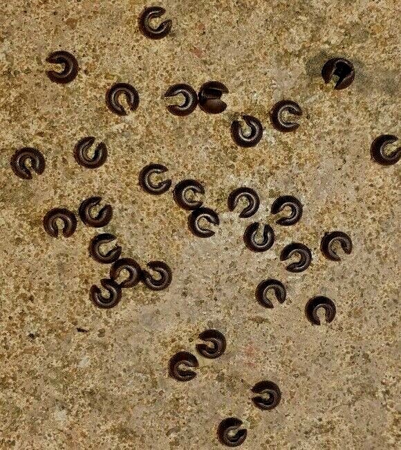25 x BROWN C TYPE BEADS FOR NAKED CHOD HELI SAFETY CARP FISHING TERMINAL TACKLE