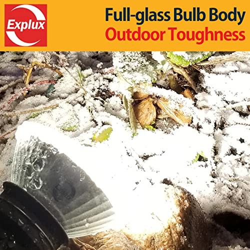 Explux 300 Watt Equivalent PAR38 LED 2 Pack 300w Equivalent 5000k Daylight