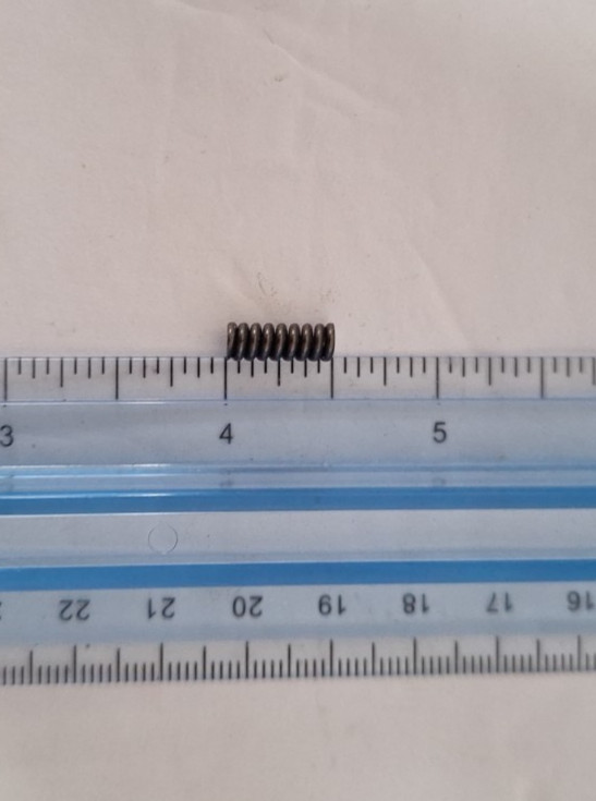 Spring Ratchet CA154958