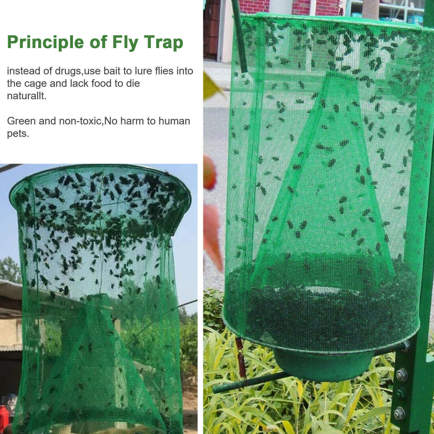 10 Pack Reusable Fly Trap Insect Killer Net Cage Trap Ranch Pest Hanging Catcher