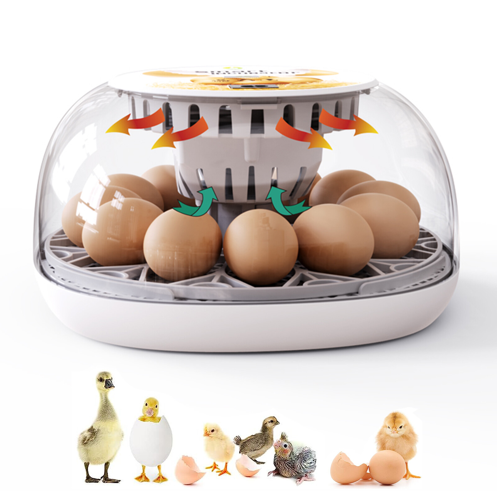 12/16 Egg Incubator Fully Automatic Brooder Flat Incubator with LED Lighting