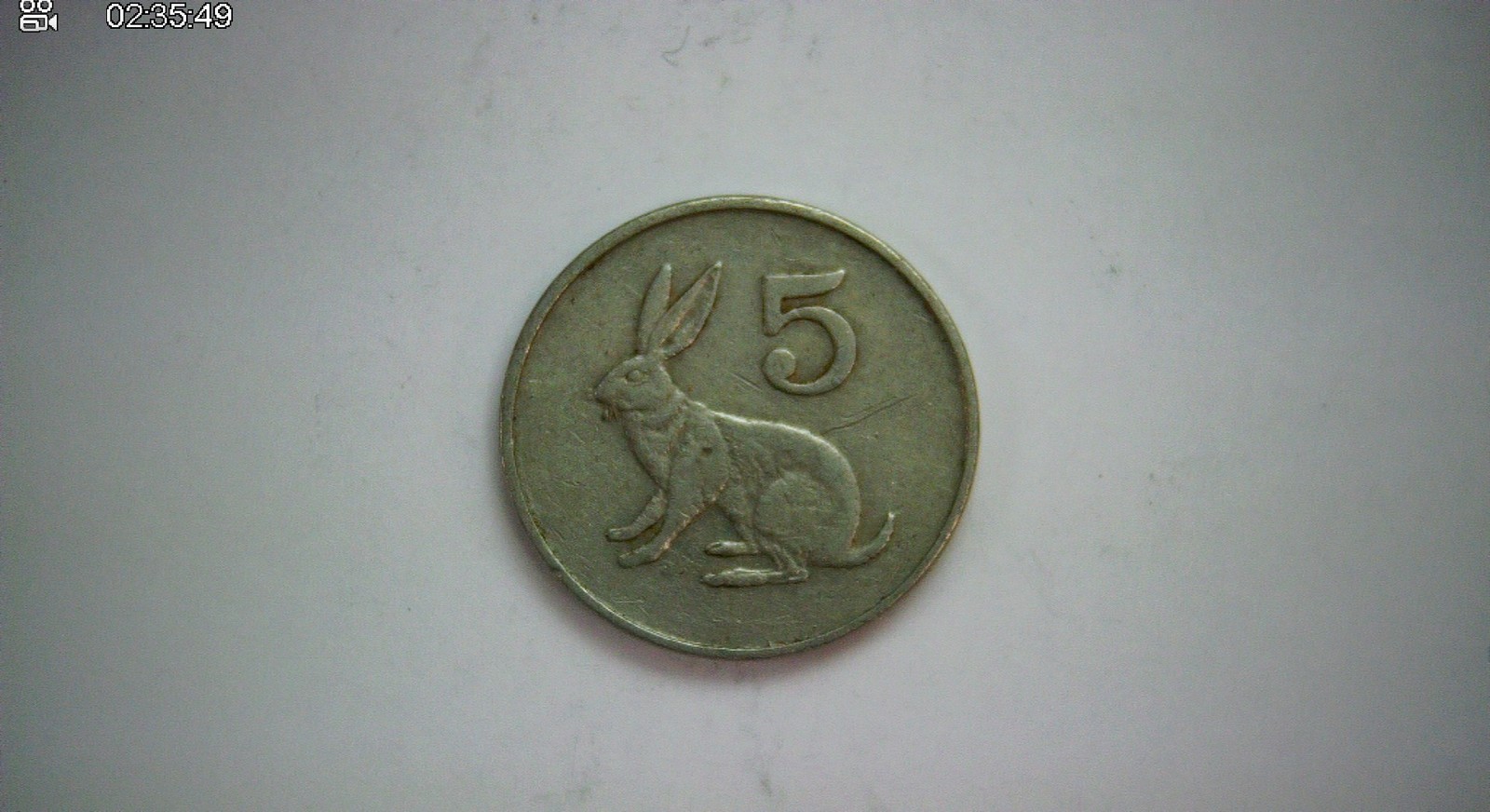 Zimbabwe 1980 5 Cents Zimbabwe 5 Cents (rabbit / Zimbabwe Bird) Coin