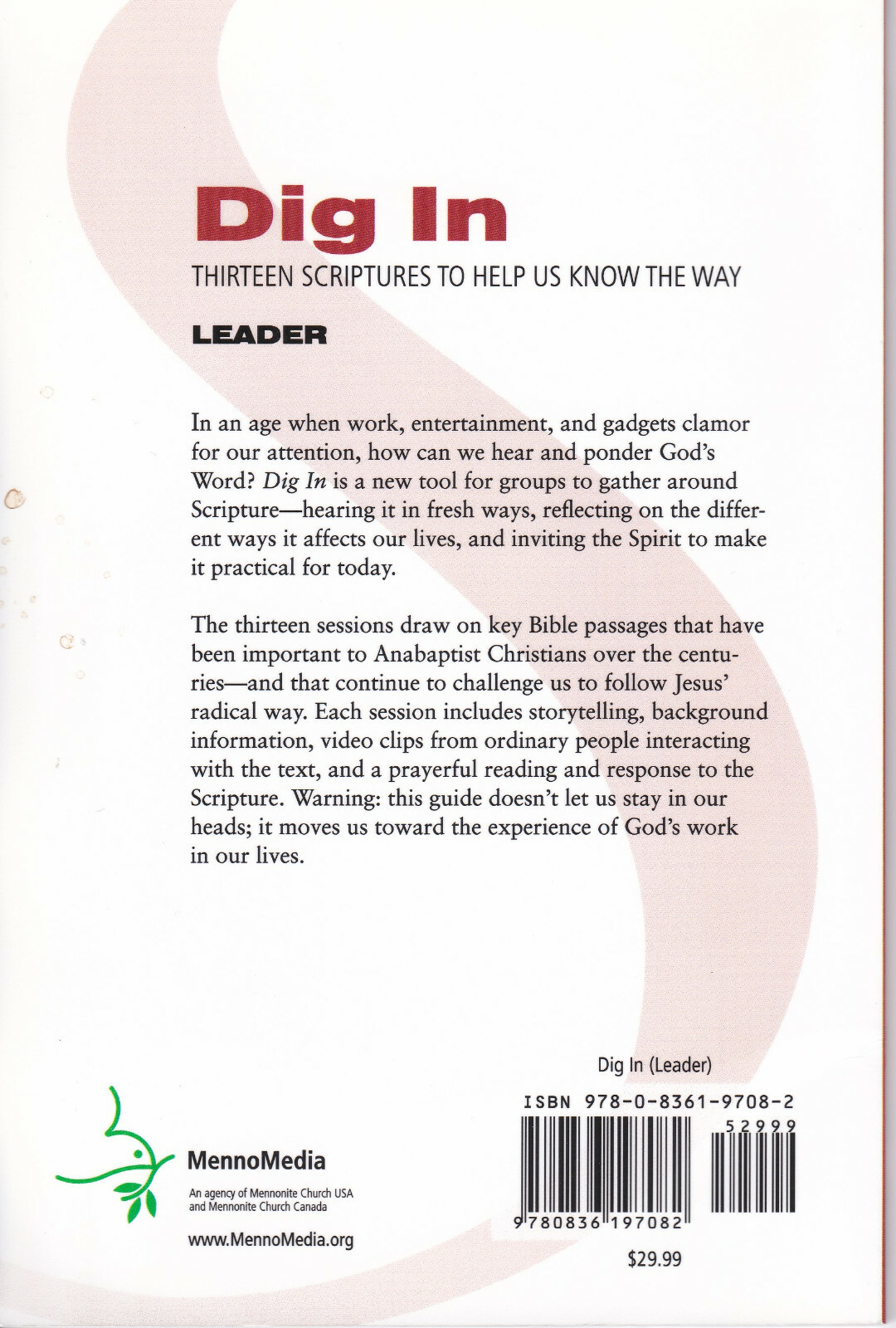 Dig In - Bible Study Leader's Guide & DVD