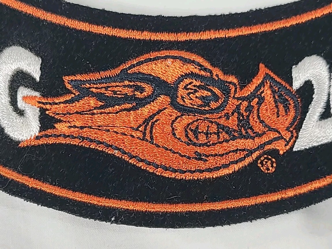 2006 Harley Owners Group Patch Orange Wild Boar Goggles Logo HOG Harley Davidson
