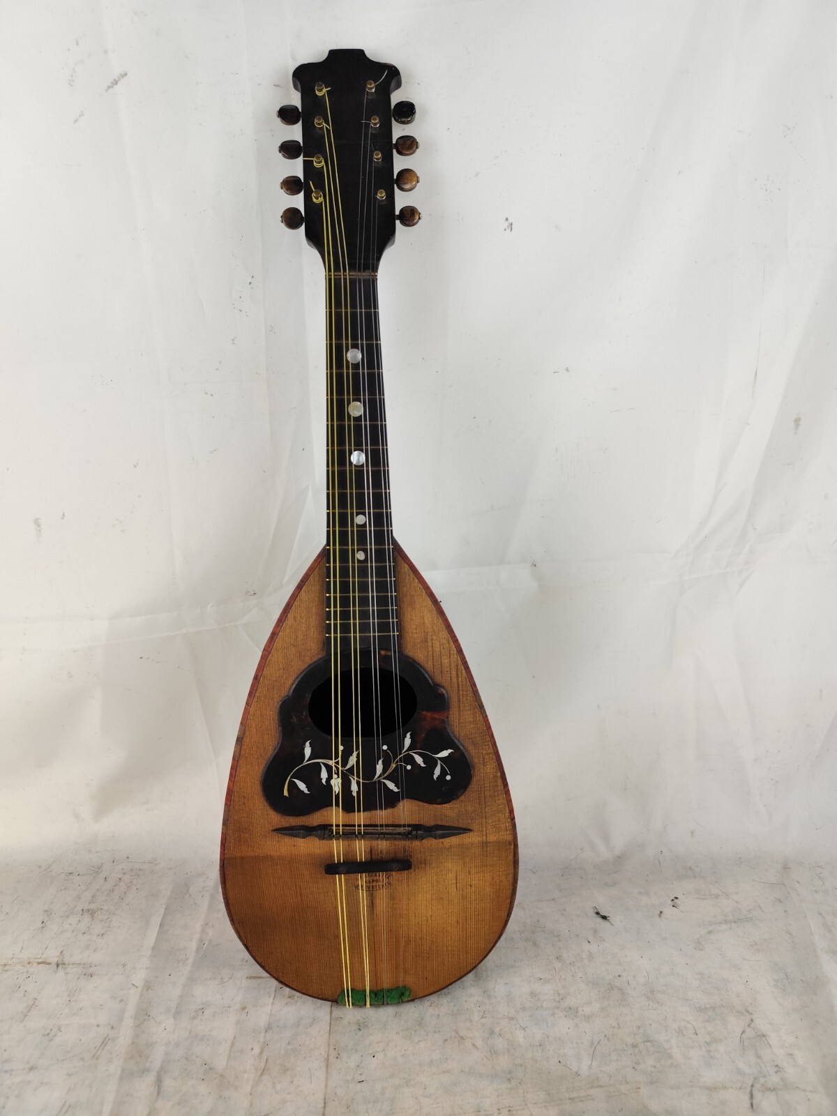 Mandolin 4/4 Michele Maratea 1891 Naples student Vinaccia 曼陀林 만돌린マンドリン