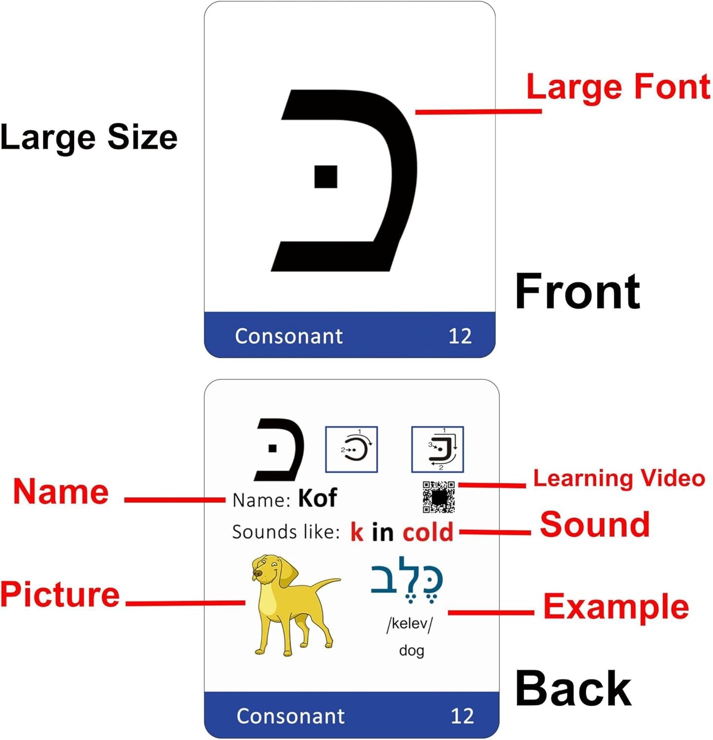 Biblical Hebrew Alphabet Flash Cards