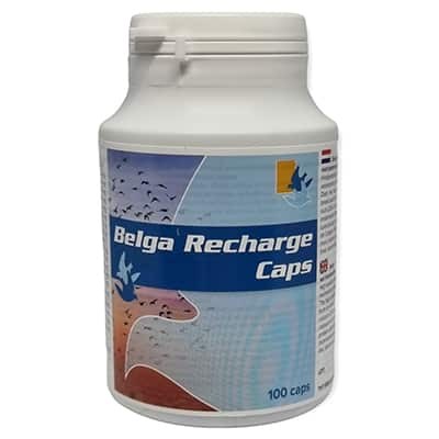 Belga Recharge 100 Caps - Recovery - by Belgica de Weerd