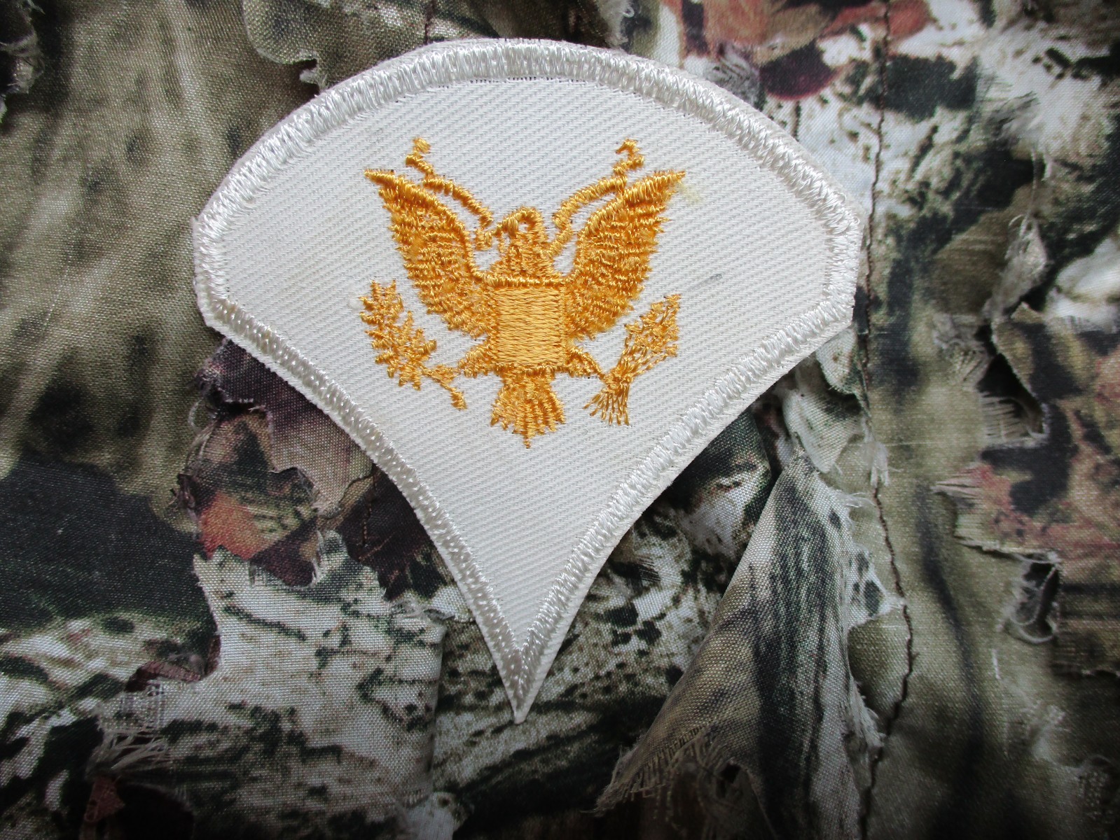 U.S Army Specialist Military Patch