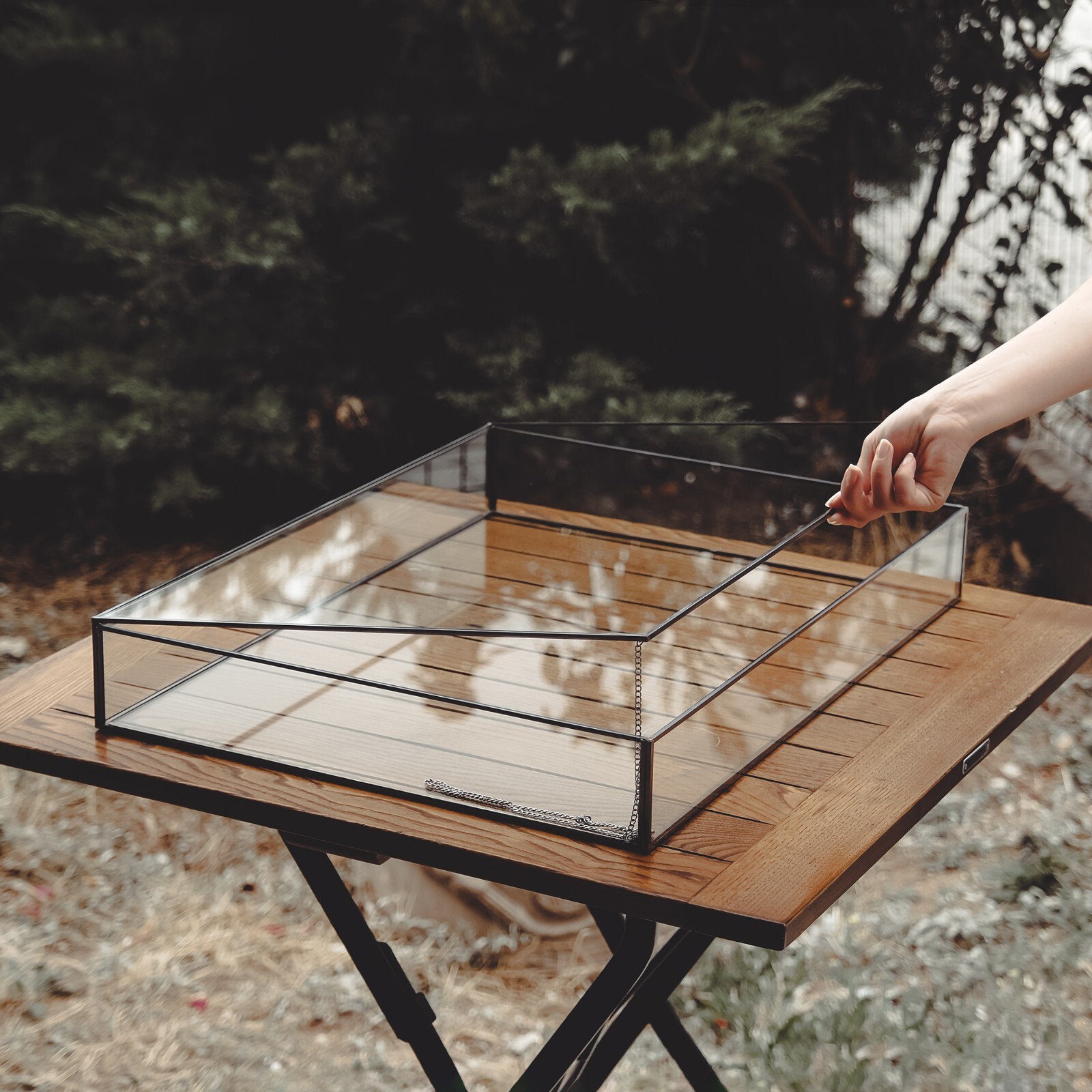 Jewelry Display Case | Glass Showcase Cabinet | Large Counter Stand