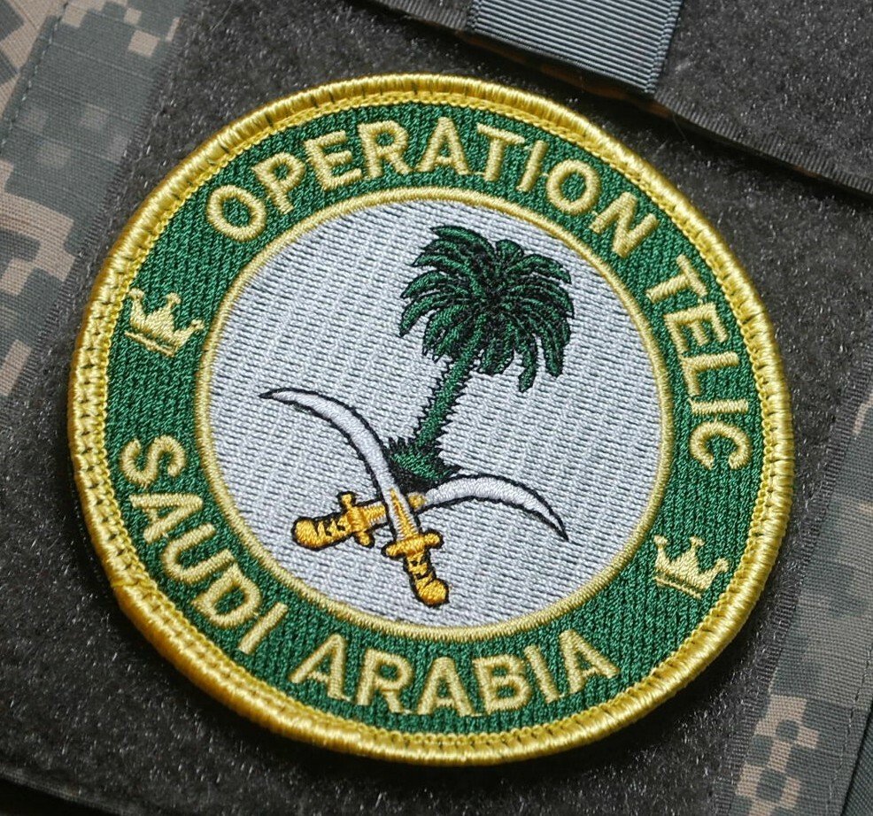 2003-2011 GULF WAR TROPHY OPERATION TELIC SAUDI ARABIA PALM TREE vêlkrö INSIGNIA