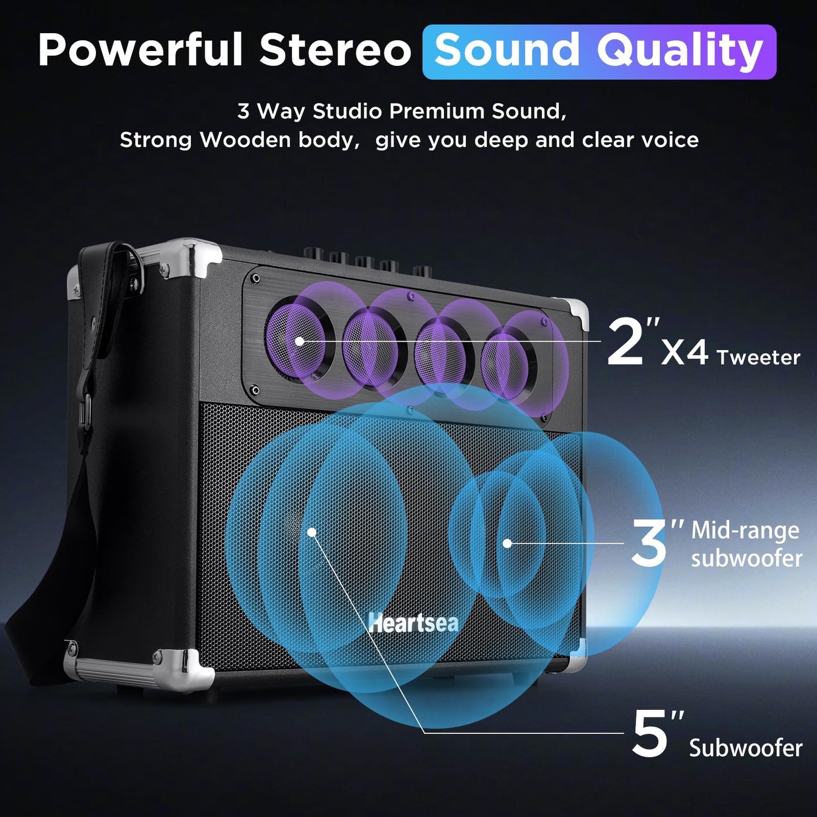 Portable Karaoke Machine, with Wireless Microphones, Bluetooth Party Speaker ...