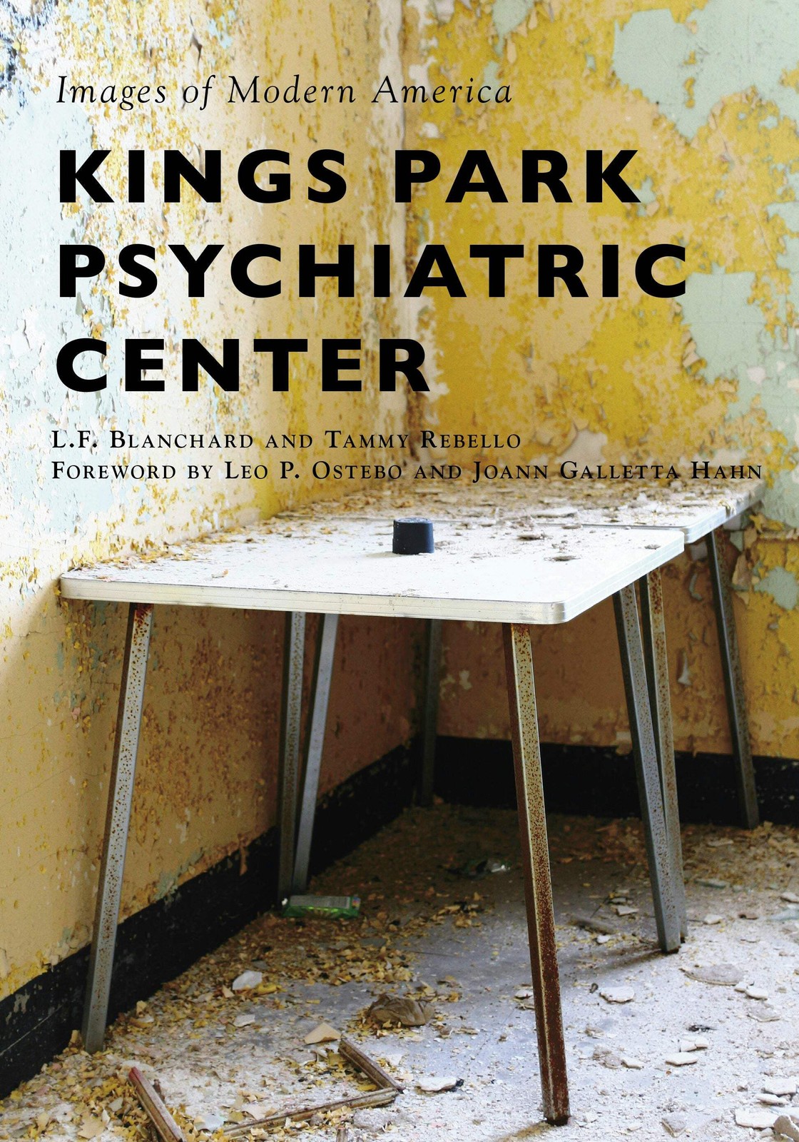 NEW Arcadia Publishing Kings Park Psychiatric Center, NY 9781467102872 Images of