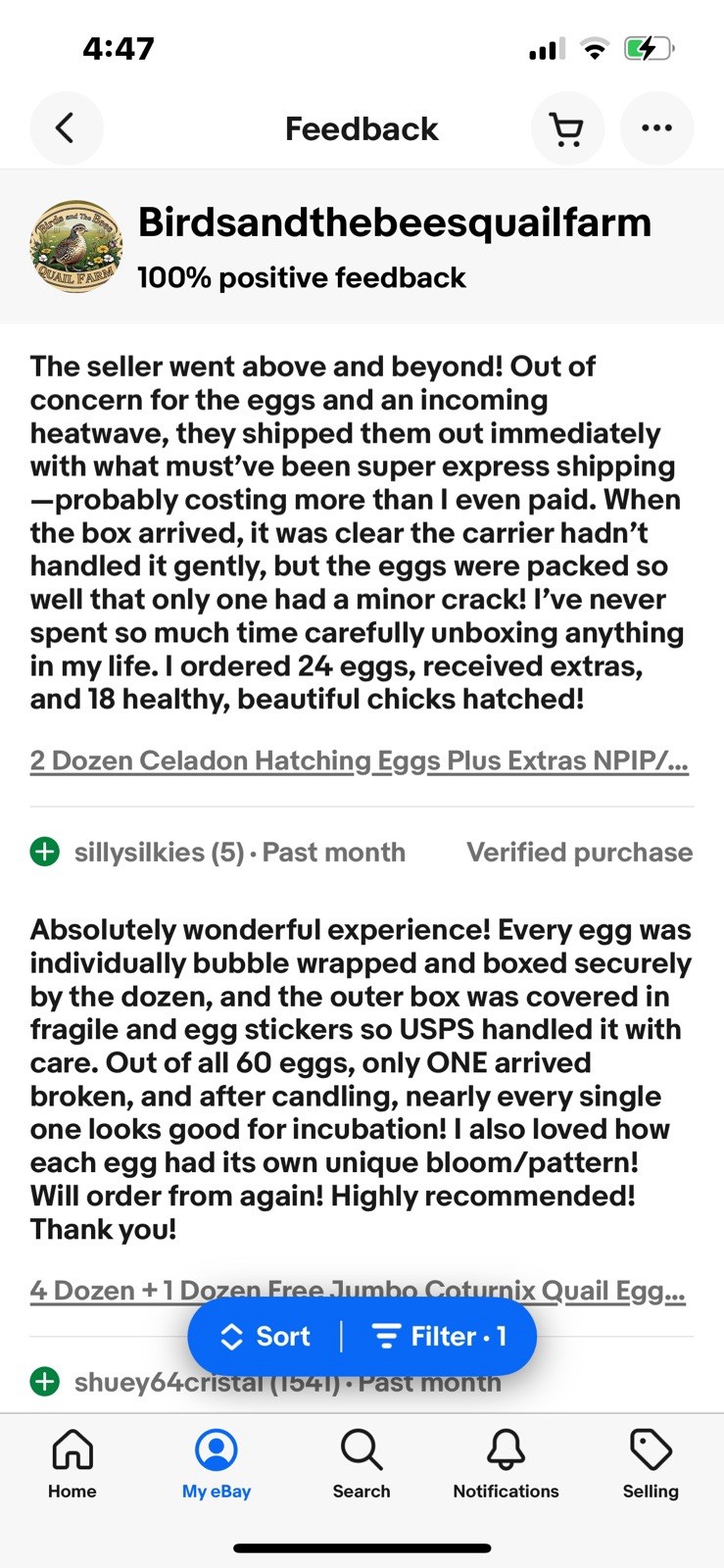 2 Dozen STANDARD Coturnix Hatching Eggs + Extra . NPIP / AI CLEAN