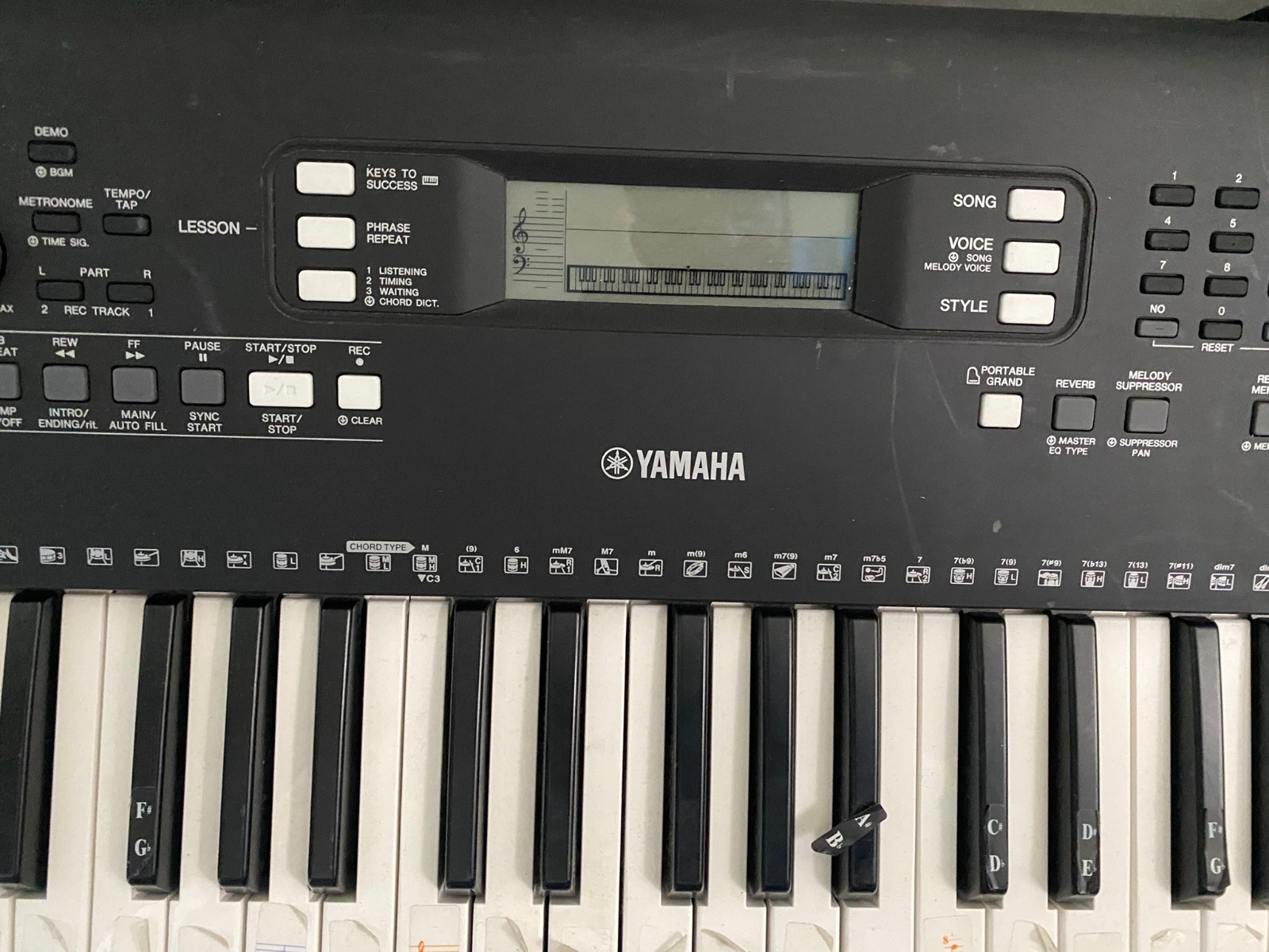 Yamha PR EW300