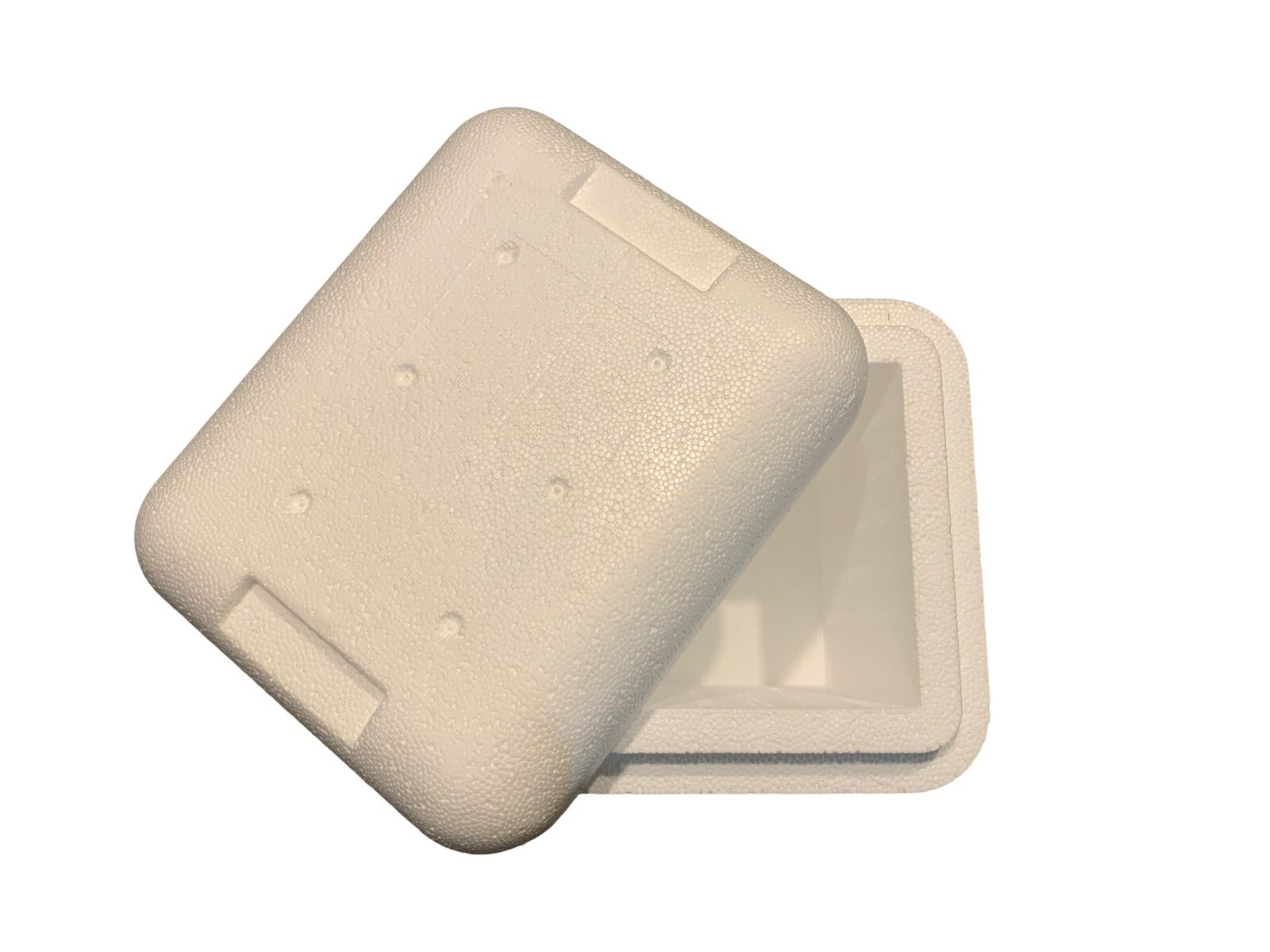 Foam Cooler, small: food storage, travel, fishing, camping, medical 11X11X9in