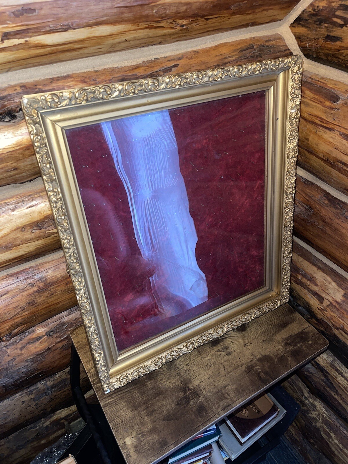 Vintage Framed Display Case - 22”x19.5”x2.5”