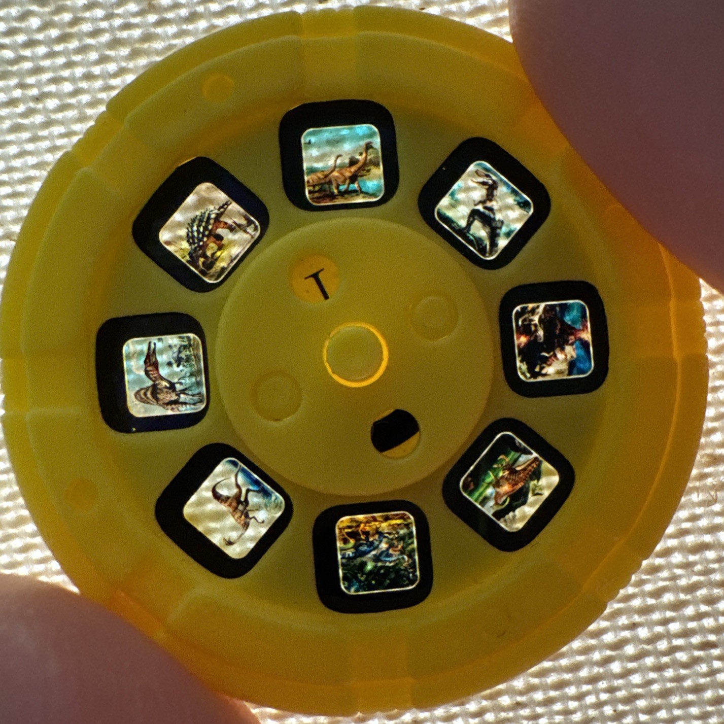 Replacement Disc Dinosaur Slideshow for Kids Projector Flashlight Images Photos