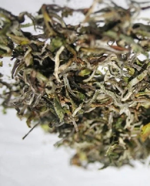 Darjeeling Tea (FRESH FIRST FLUSH 2026) GIDDAPAHAR SFTGFOP I SPECIAL 7 Kg