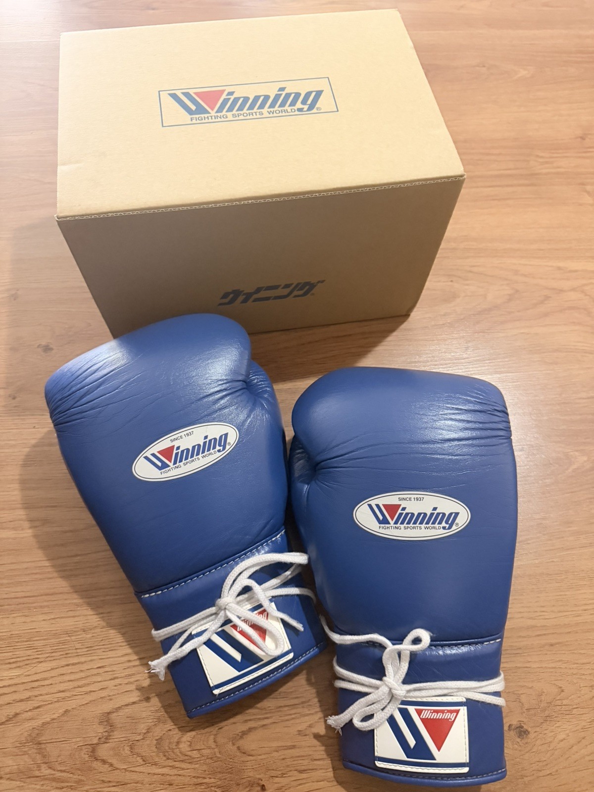 Winning Boxing Gloves