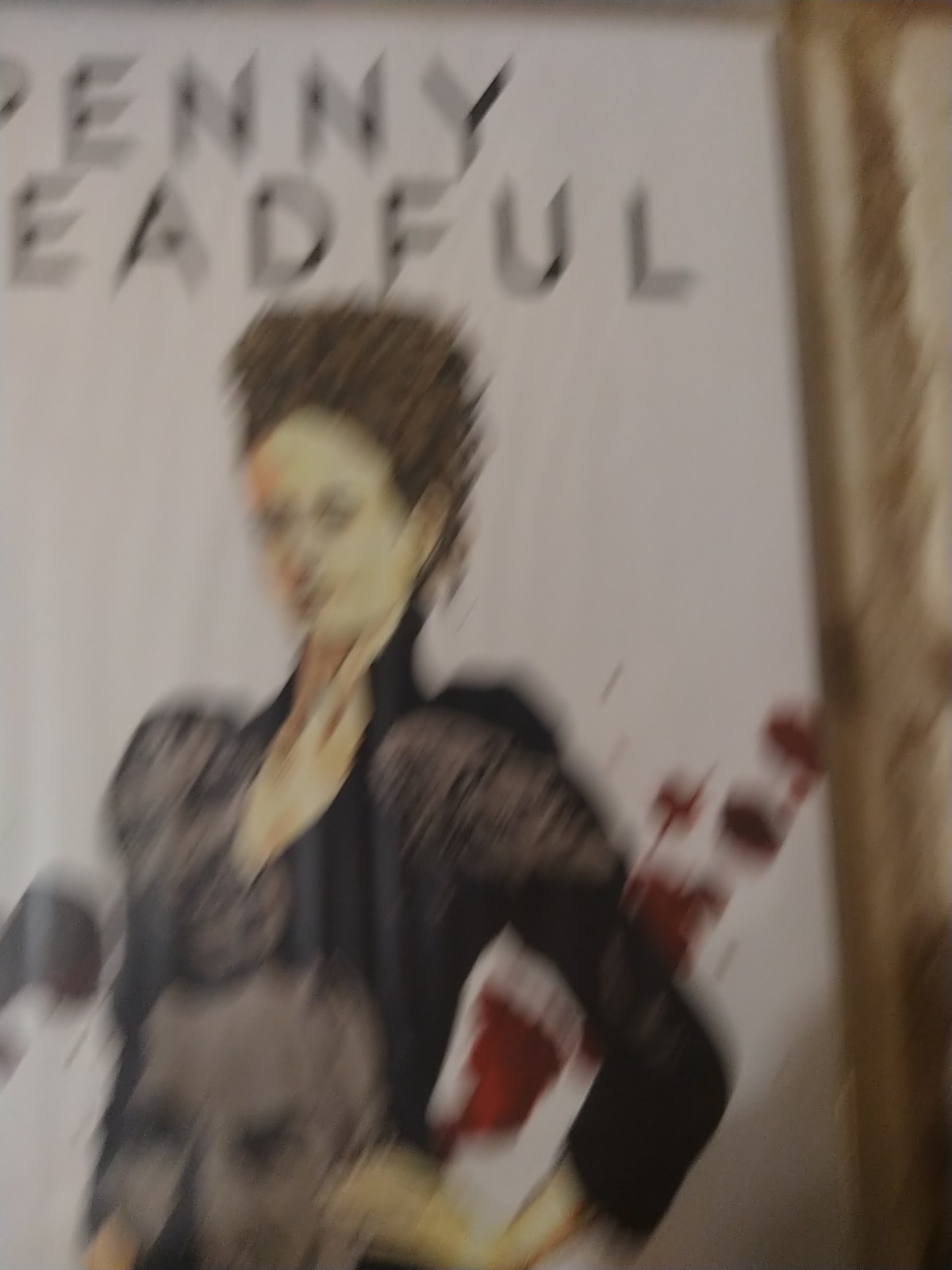 Penny Dreadful Horror Block Nerd Block Exclusive Sealed