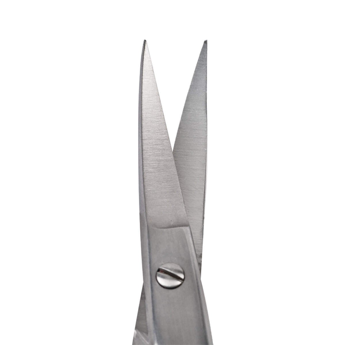 Curved Kelly Scissors