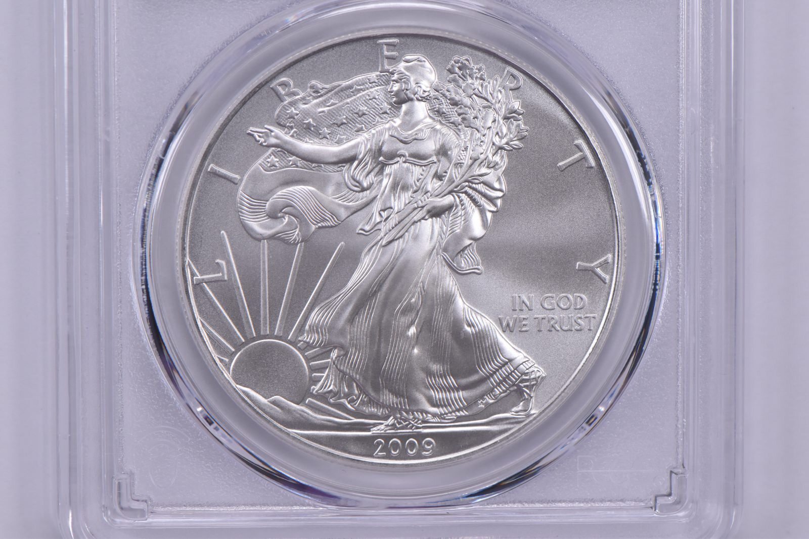 2009 American Silver Eagle MS70 PCGS Blue Label