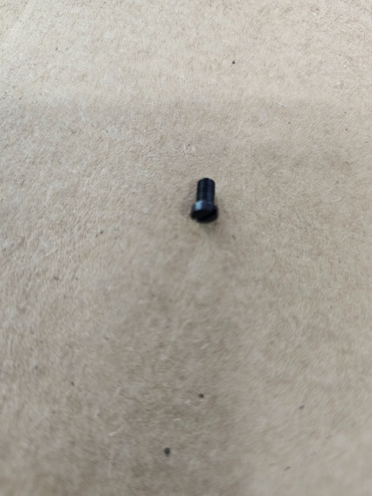 Rossi 92 cartridge guide screw.  Blue. NOS