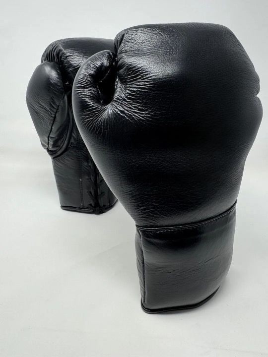 Black Leather Horsehair Fight Boxing Gloves | Pro Lace-Up Competition Gloves