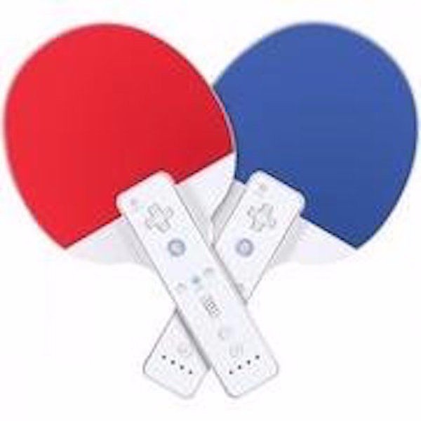 Brand NEW Sports Resort Twin Ping Pong Paddles for Nintendo Wii - Blue/Red