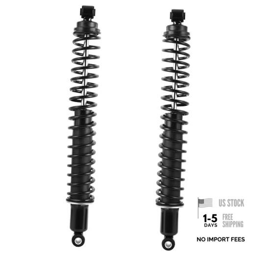 Rear Load Shocks and Strut Compatible with 1994-2001 94-01 Ram 1500 RWD rear