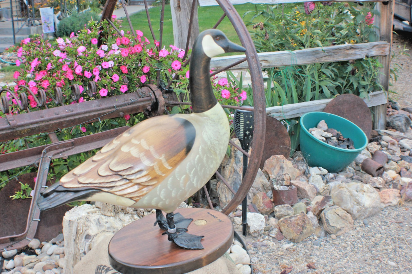 DON PROFOTA GOOSE Collector