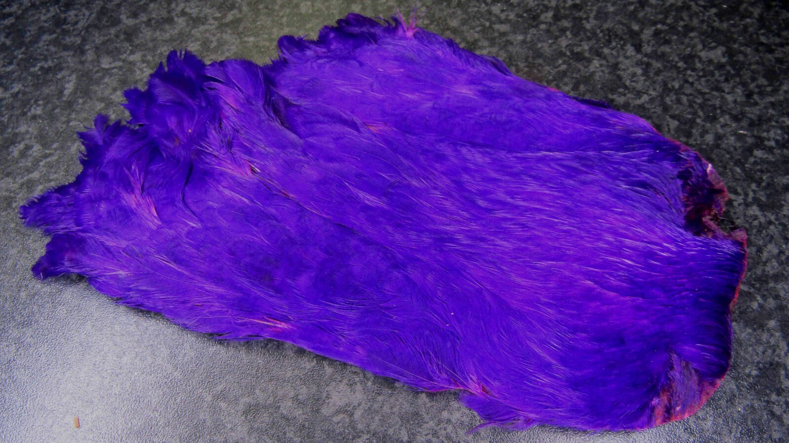 Irish Fly Supplies Purple Hen Neck, hackle, Cape, Bumble.