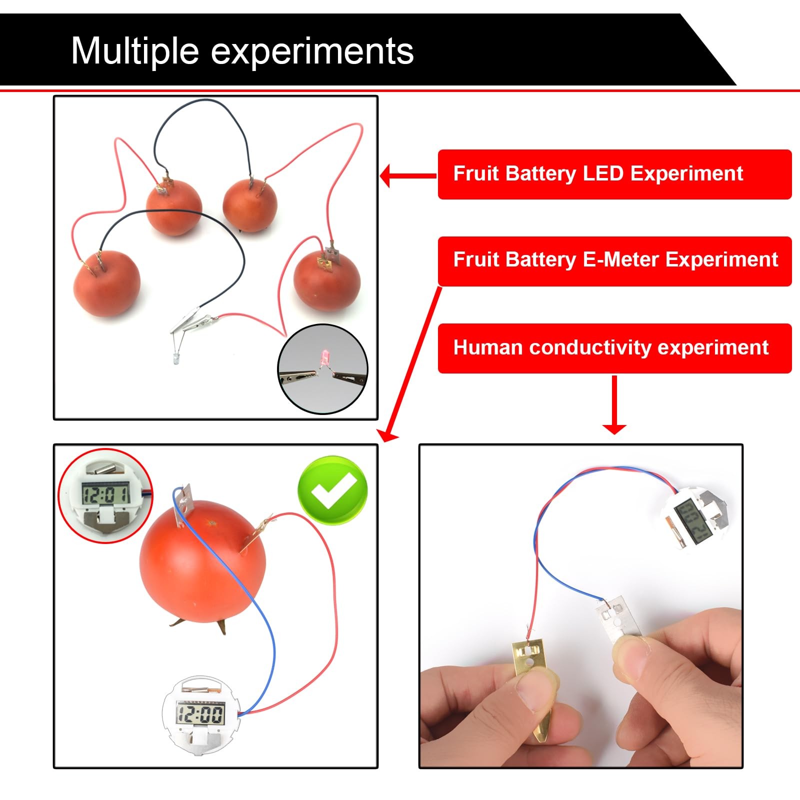 Fruit Battery Science Experiment Kit for DIY School Home Teaching Equipment, ...