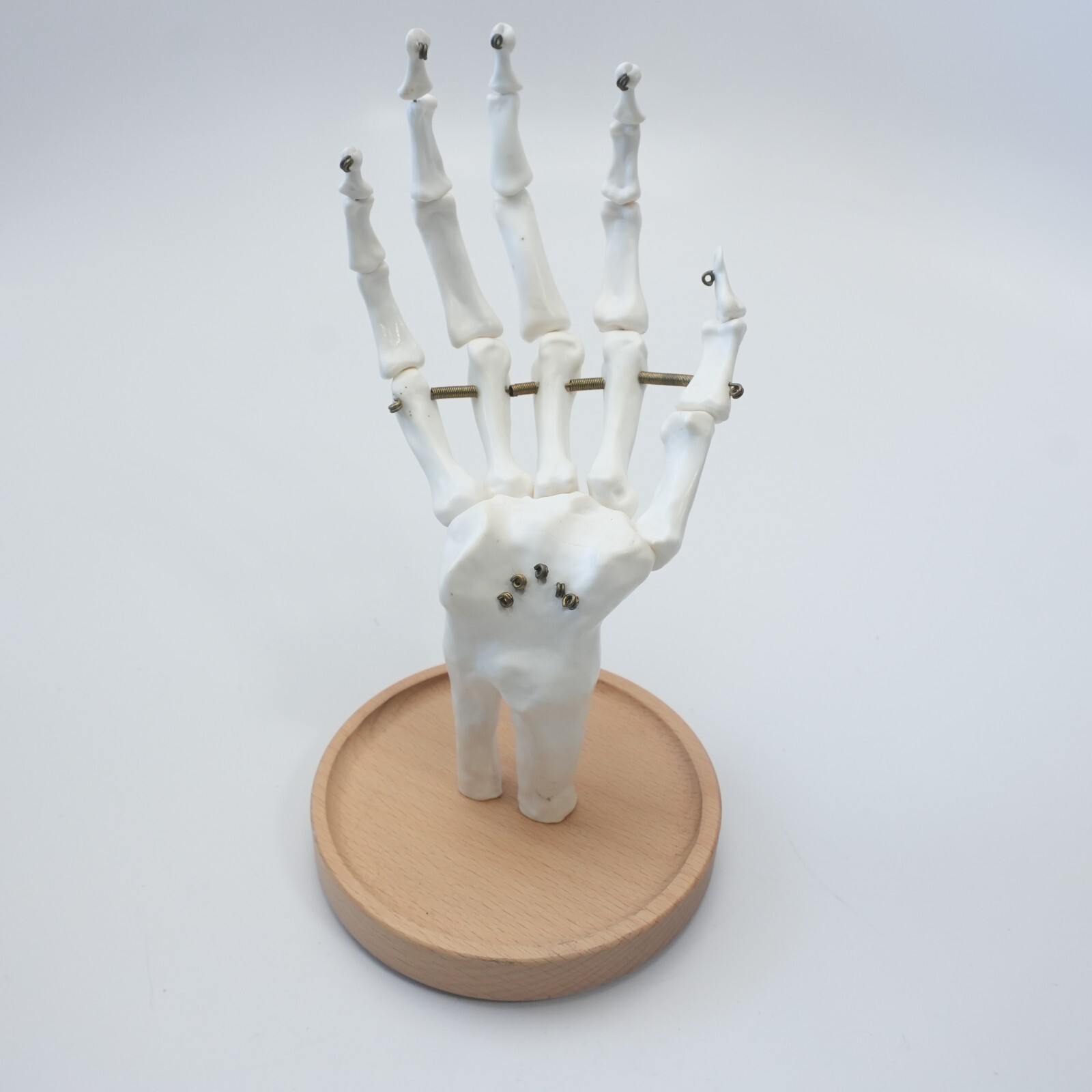 Medical Anatomical Life-size Human Hand Joint Study Skeleton Model SuckUK