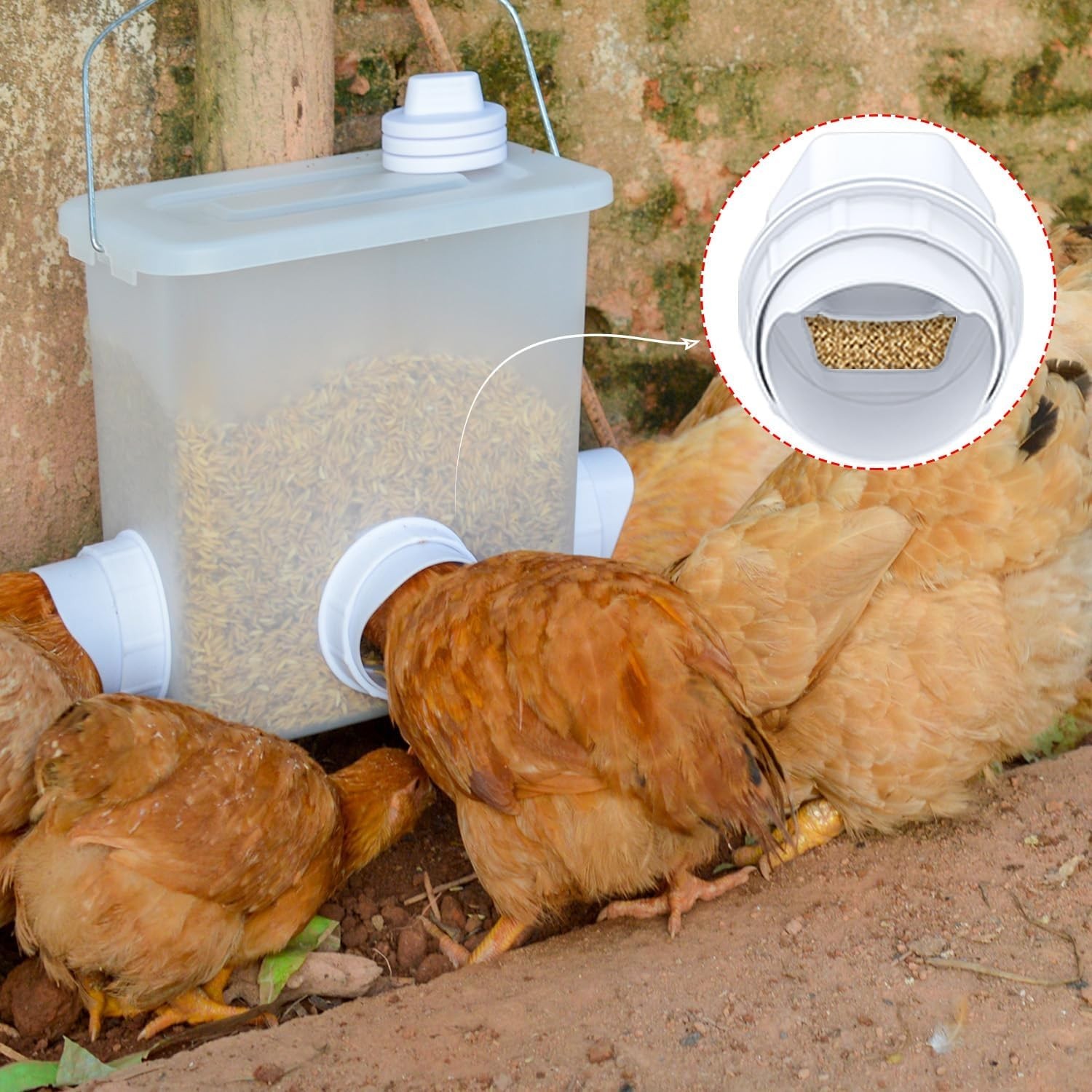 4-Port Gravity Chicken Feeder with Hole Saw - Durable & Mess-Free Solution